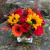 Bright yellow, hot pink and orange. Vibrant and oh so beautiful. This