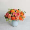 Locally grown dahlias, harvested at their peak, bloom in fiery shades of