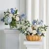 This beautiful sympathy collection blends soft white roses, blue delphinium, hydrangeas, and