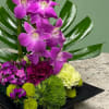 A structural dish arrangement showcasing a green and purple tropical palette. Perfect