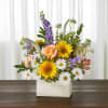Colorful bursts of yellow sunflowers, purples, pinks and whites bringing sunshine in