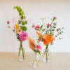 Assorted flowers in a bud vase.