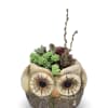 Bring a touch of whimsy to your space with this charming owl-shaped
