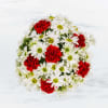 A modest gift that will make a lasting impression. Daisy Crazy by