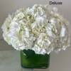 As shown: Hydrangeas arranged in a glass cube. 
** Deluxe: More hydrangeas.
**