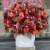 All fall colors in our largest white box