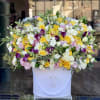 Beautiful spring mix