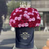 Mix of 75 &ldquo;deep purple&rdquo; and red heart shaped roses in our