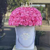 50 heart shaped roses ( standard, pictured) in our signature grey velvet