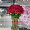 375 red roses in a free standing arrangement. No vase needed!