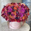 Beautiful oranges pinks 