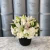 Stunning white flowers in a black vase! Impress your loved ones with