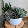 Bring a touch of nature into your home with our Succulent Garden.