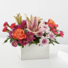 From life&#039;s big moments to sweet just because sentiments, the Light of