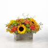Gathered straight from the garden, a generous assortment of vibrant orange roses