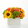 Fresh picked blossoms to lift your spirits and celebrate the season.

24-F8d