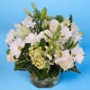 This arrangement convey a sense of freshness and elegance, highlighting the serene