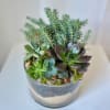 This design is filled with a variety of succulents, and adorned with