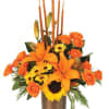 These orange flowers are such a mood! Perfect for the season, these