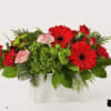 These red gerbera daisies are so much fun and liven up the