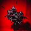 One dozen black reflexed roses in a ceramic vase. 