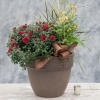 Let our designers create a beautiful seasonal patio pot to beautify your
