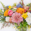 Enjoy this fun arrangement filled with a bright, variety of seasonal blooms