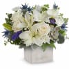 Sleek yet sweet! This stylish arrangement pairs a sculptural succulent with delicate