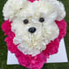 Here are two delightful carnation puppy bouquets available for sale:

Puppy Bouquet in