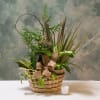 This rustic-style dish garden has marvelous greens that are nestled in a