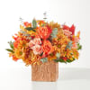 Set in a stunning terracotta cube adorned with autumn leaves, the Scenic