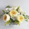 A clear glass vase filled with a white hydrangea, 5 beautiful soft