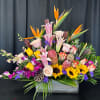 Elevate your indoor space with a striking arrangement showcasing Birds of Paradise