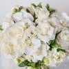 This contemporary combination of chic white blooms including hydrangea, roses. lisianthus, hellebores