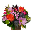 Step into a whimsical celebration of color with our &quot;Cottage Carnival Bouquet&quot;
