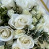 Classic and serene, Ivory Grace is a luxurious bouquet of white roses
