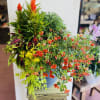A beautiful mix of autumnal bloomers and colorful foliage!