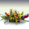A lush display of Tropical blooms.