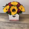 BEAUTIFUL DETAIL OF SUNFLOWERS AND ROSES