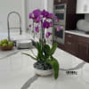 A high quality triple purple orchids arrangement with a vase 10&quot; D