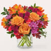 Warm, earthy tones bring light to this autumnal time, creating a lovely