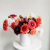 Dahlias