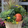 Send a basket full of fall. Perfect for doorstep or patio.