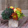 Kale, roses, protea, green hydrangea packed into a wooden box.