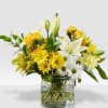 Bright and fresh arrangement to gift for any occasion! It brightens up
