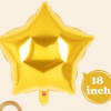 Hilum filled 18 inch star mylar balloon