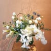 Creative interesting.  Highstyle design, with architectural design work, premium Phalaenopsis orchids
