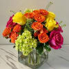 A modern burst of beauty, Color Pop features premium roses in a