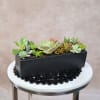 Elegant Succulent Garden in Black Ceramic

Size aprox 14&#039;&#039;x4&#039;&#039;
Modern, long-lasting, and effortlessly stylish