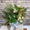A dish garden is a serene and lush arrangement of various small